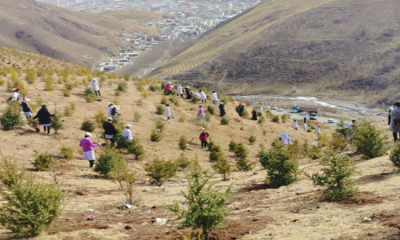 пչ4.14ʮȫֲ