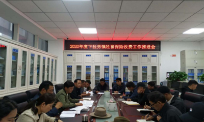 下拉秀镇召开2020年度牲畜保险收费工作推进会