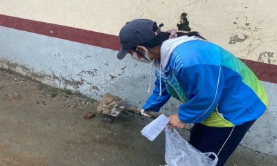 еڶѧչͷ 