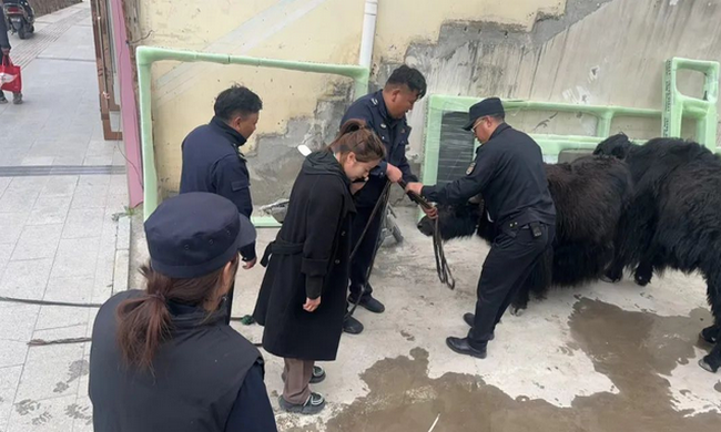 ȫ濪չж