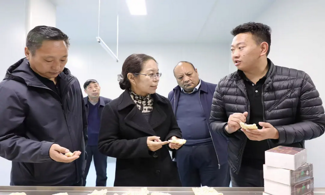 龙措赴玉树市督导调研市政改造提升、物流园区建设及安