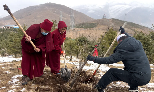 ��ֲ������ �ػ�����Դ����������2026��ȫ������ֲ��