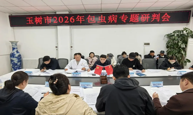 <b>�����������������ٿ�2026����没�ۺϷ���ר�����л�</b>